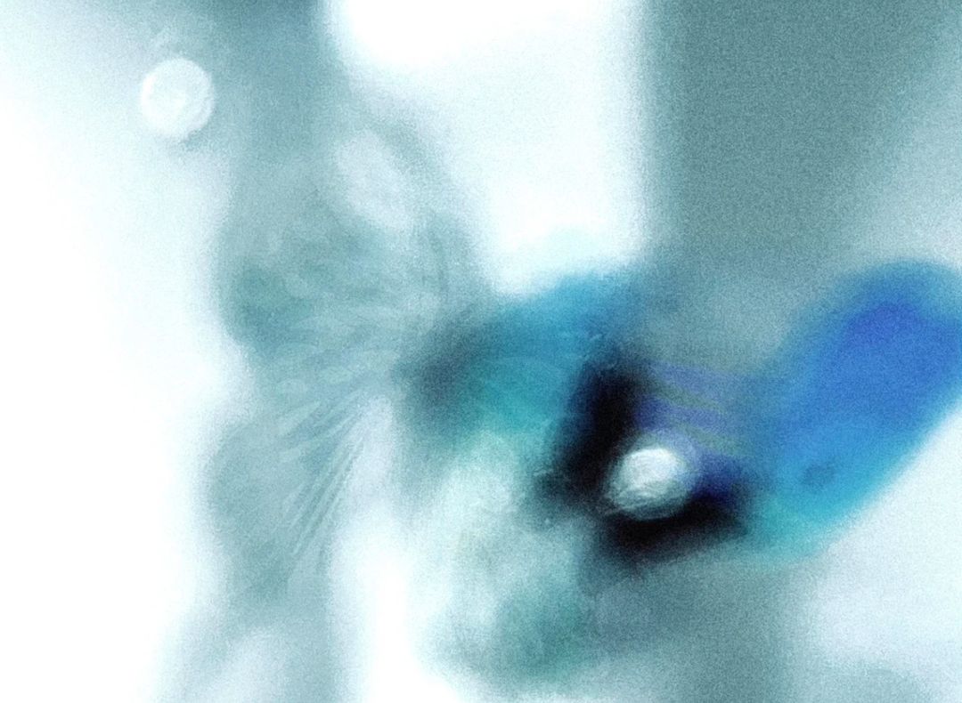 ⭐『我们曾来过这里』⭐图片