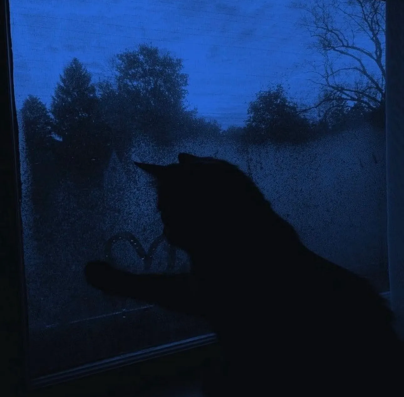 雨夜窗边图片